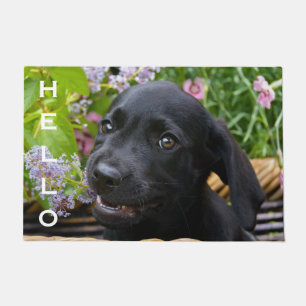 Niedlich Black Labrador Retriever Doppy Puppy Fußmatte