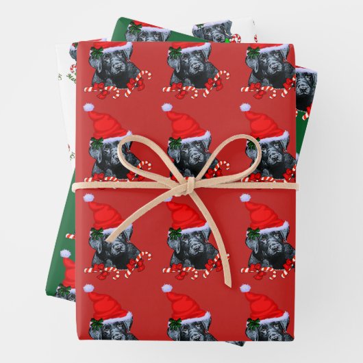 Niedlich Black Labrador Retriever Geschenkpapier Set (Beispiel)