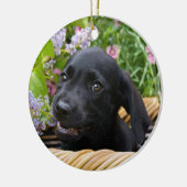 Niedlich Black Labrador Retriever Hund Welpe Foto  Keramikornament (Links)