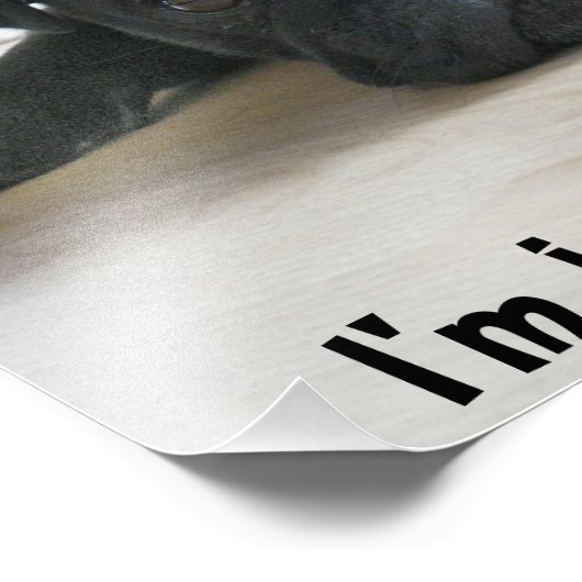 Niedlich Black Mops Puppy Lazity Poster (Ecke)