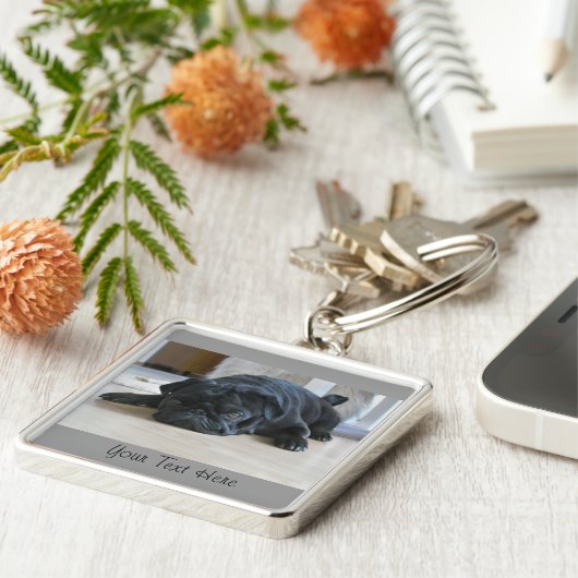 Niedlich Black Mops Puppy Schlüsselanhänger (Seite)