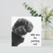 Niedlich Black Toy Poodle © Personalisiertes Party Einladung (Stehend Vorderseite)