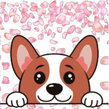 Niedlich - Blanket für Haustiere