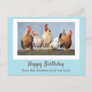 Niedlich Blau Alles Gute zum Geburtstag von den Hü Postkarte