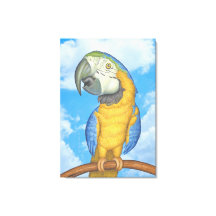 Niedlich-Blauer-Gold-Macaw-Papagei