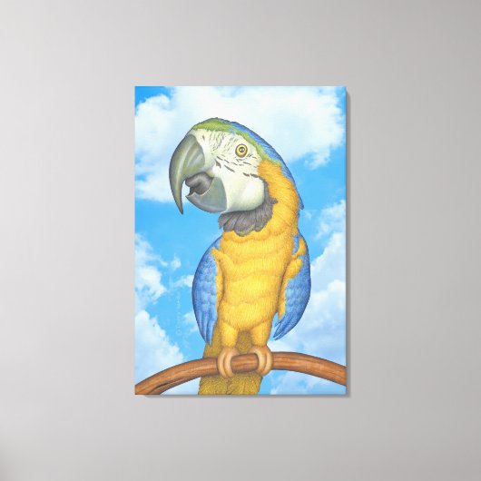 Niedlich-Blauer-Gold-Macaw-Papagei Leinwanddruck (Vorderseite)