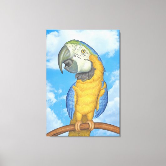 Niedlich-Blauer-Gold-Macaw-Papagei Leinwanddruck (Vorderseite)