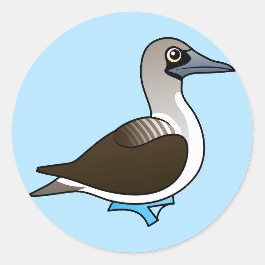 Niedlich-blaufüßiger Booby Runder Aufkleber (Vorderseite)