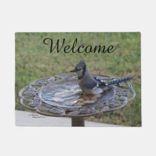 Niedlich Blue Jay Bird Spiegeland Welcome Doormat Fußmatte