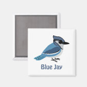 Niedlich Blue Jay Magnet (Vorderseite/Rückseite)