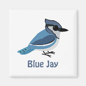 Niedlich Blue Jay Magnet (Vorne)