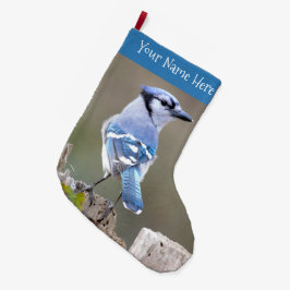 Niedlich Blue Jay Songbird auf Baumstumpf Großer Weihnachtsstrumpf