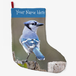 Niedlich Blue Jay Songbird auf Baumstumpf Großer Weihnachtsstrumpf