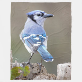 Niedlich Blue Jay Songbird auf Treestump Fleecedecke
