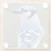 Niedlich Blue Jay Songbird auf Treestump Glass Unt Glasuntersetzer (Rückseite)