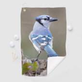 Niedlich Blue Jay Songbird auf Treestump Golfhandtuch (Insitu)