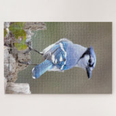 Niedlich Blue Jay Songbird auf Treestump Jigsaw Pu Puzzle (Horizontal)
