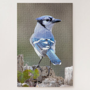 Niedlich Blue Jay Songbird auf Treestump Jigsaw Pu Puzzle
