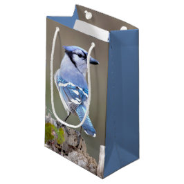 Niedlich Blue Jay Songbird auf Treestump Kleine Geschenktüte