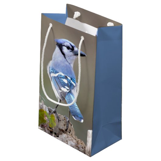 Niedlich Blue Jay Songbird auf Treestump Kleine Geschenktüte (Rückseite Schrägansicht)