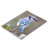 Niedlich Blue Jay Songbird auf Treestump Notizblock (Linke Seite)