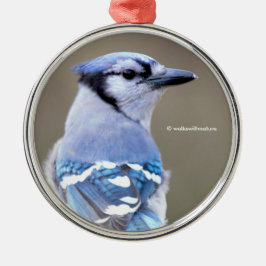 Niedlich Blue Jay Songbird auf Treestump Ornament Aus Metall