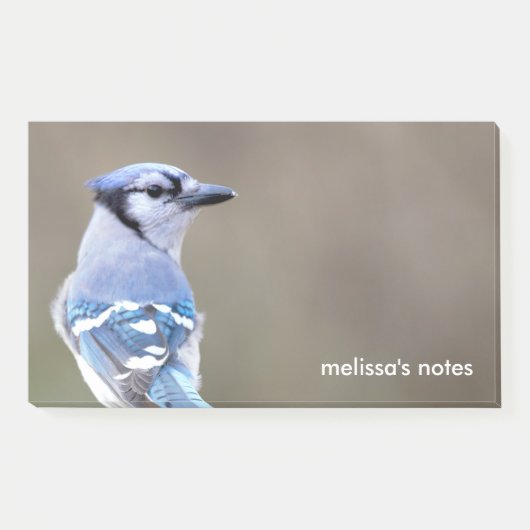 Niedlich Blue Jay Songbird auf Treestump Post-it Klebezettel (Vorderseite)