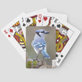 Niedlich Blue Jay Songbird auf Treestump Spielkarten
