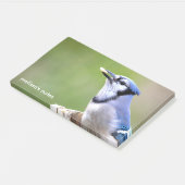 Niedlich Blue Jay Songbird mit Erdnuss Post-it Klebezettel (angewinkelt)