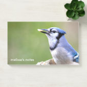 Niedlich Blue Jay Songbird mit Erdnuss Post-it Klebezettel (Büro)