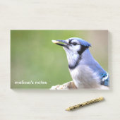 Niedlich Blue Jay Songbird mit Erdnuss Post-it Klebezettel (Auf Schreibtisch)