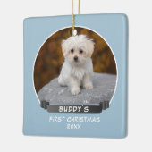 Niedlich Blue Puppy 1. Foto für Weihnachtshunde Keramikornament (Links)