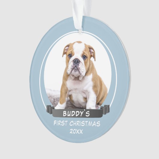 Niedlich Blue Puppy 1. Foto für Weihnachtshunde Ornament (Vorderseite)