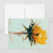 Niedlich blühende Blume Ankündigungspostkarte (Vorne/Hinten)