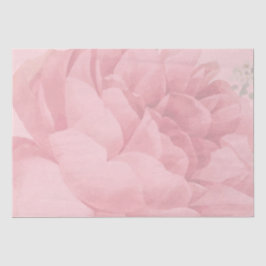 Niedlich Blush Pink Bläschen Hübsche Rose Seidenpapier