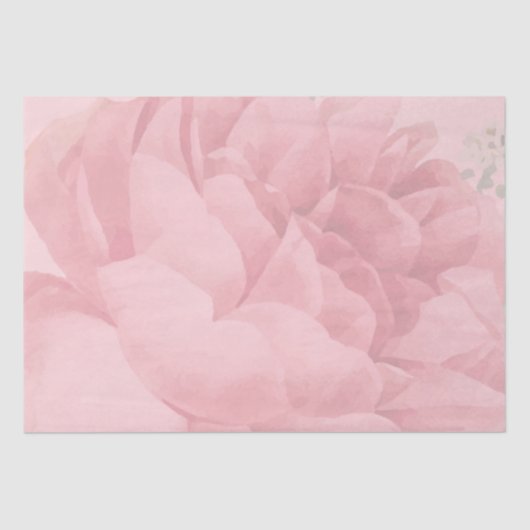 Niedlich Blush Pink Bläschen Hübsche Rose Seidenpapier (Vorderseite)