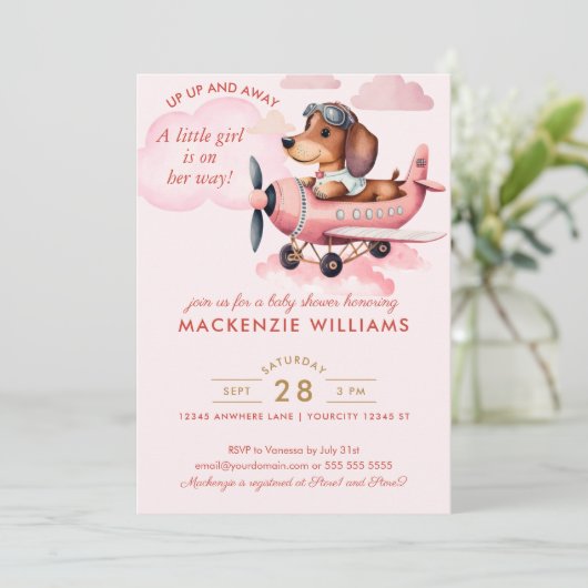 Niedlich Blush Pink Dackel Flugzeug Kinderdusche G Einladung (Stehend Vorderseite)