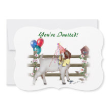 Niedlich Boer Goat Birthday Party
