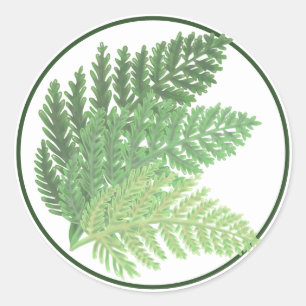Niedlich boho Moss Green Fern Runder Aufkleber