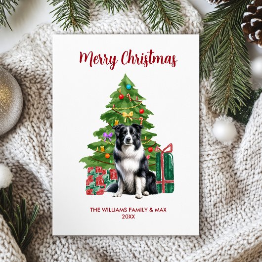 Niedlich Border Collie Dog Familie Weihnachten