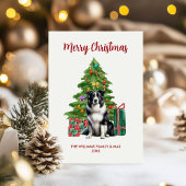 Niedlich Border Collie Dog Familie Weihnachten