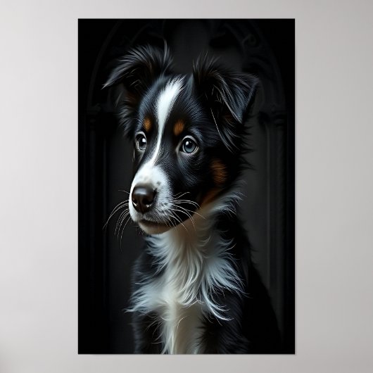 Niedlich Border Collie Poster (Vorne)