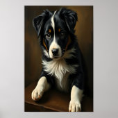 Niedlich Border Collie Poster (Vorne)