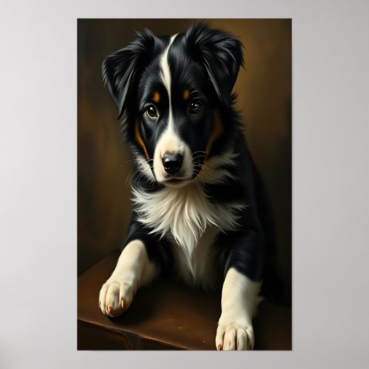 Niedlich Border Collie Poster (Vorne)