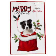 Niedlich Border Collie Puppy Dog Weihnachten