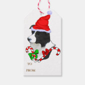 Niedlich Border Collie Weihnachten Geschenkanhänger (Vorderseite)