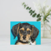 Niedlich Borkie Puppy Postkarte (Stehend Vorderseite)
