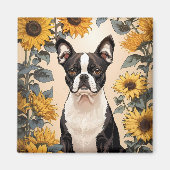 Niedlich Boston Terrier Gelbe Sonnenblumen Magnet (Vorne)
