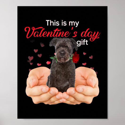 Niedlich Bouvier des Flandres Dies ist meine Valen Poster (Vorne)
