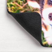 Niedlich-braune und weißwütende Welpe Mousepad (Ecke)